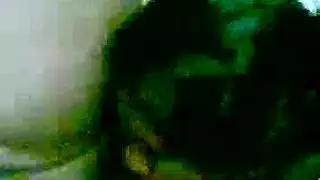 مص الوحش الديك أبيض