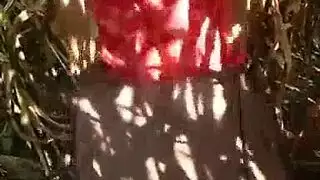 ابن يتحرش بامه في المطبخ و يهيج كسها باصابعه و يرضع كلمات صدرها في عيد ام ساخن جدا الاباحية